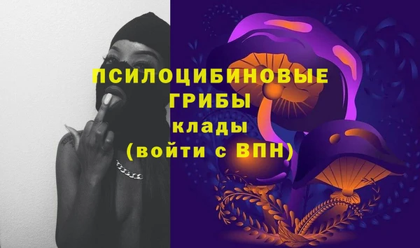 ALPHA-PVP Алексин