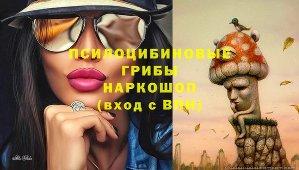 ALPHA-PVP Алексин